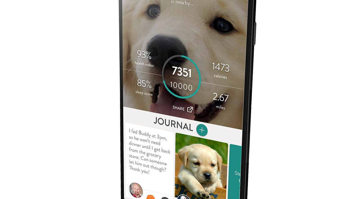 pet fitness tracker