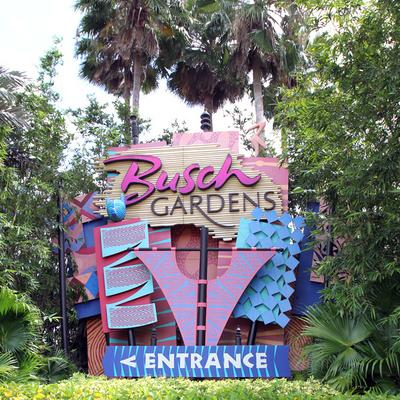 How Busch Gardens Tampa Drives Seaworld S Q2 Gains Tampa Bay