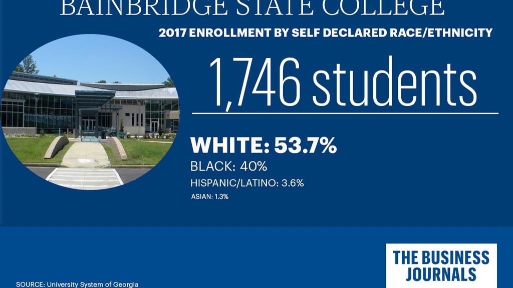 Uga Ethnic Diversity Pie Chart