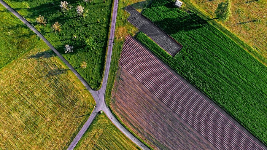 Louis Breland of Breland Companies has purchased The Clift Farm in ...