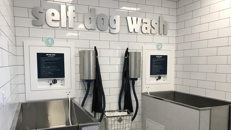 Dog store wash petsmart