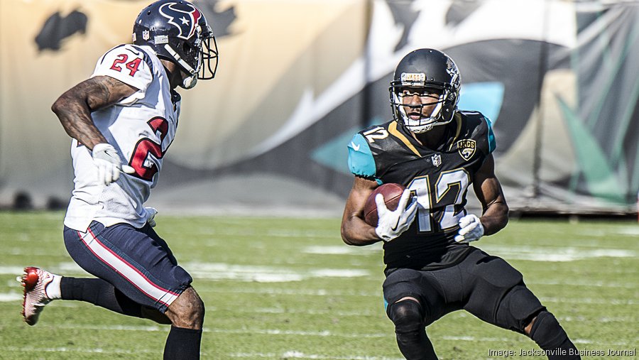 TIAA Bank pool- jaguars vs saints preseason 2018 