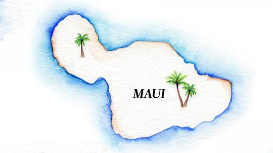 Maui Map