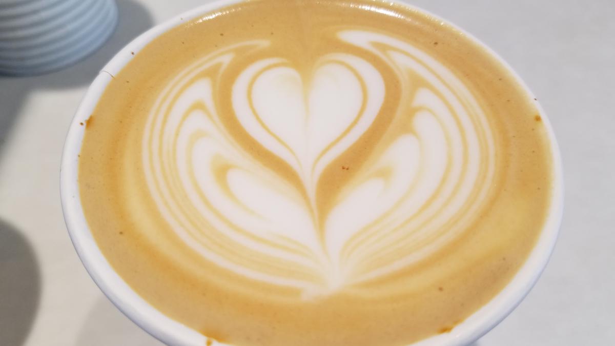 As Dublin cafe nears opening, Fox in the Snow looks at further