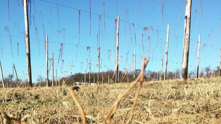 Next On Tap More Than A Dozen Maryland Breweries Plan To Open This B Truck Farms And Brewery Br