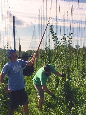 Kevin plank brewery Clearance