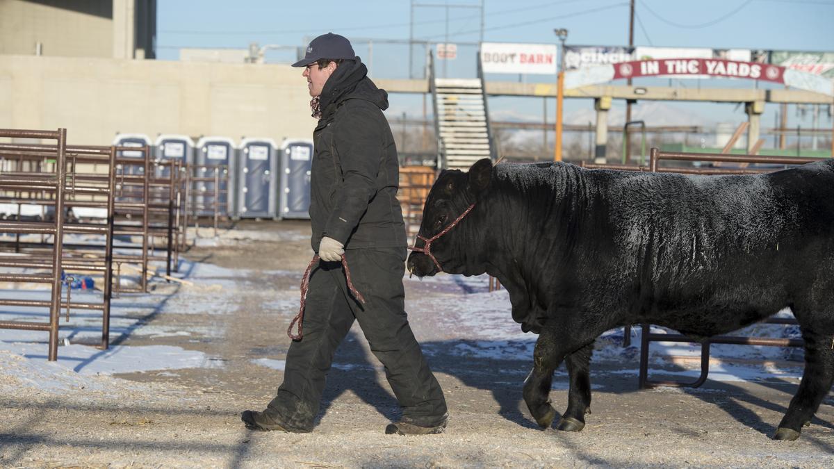 Denver's National Western Stock Show hits 2nd-highest attendance total