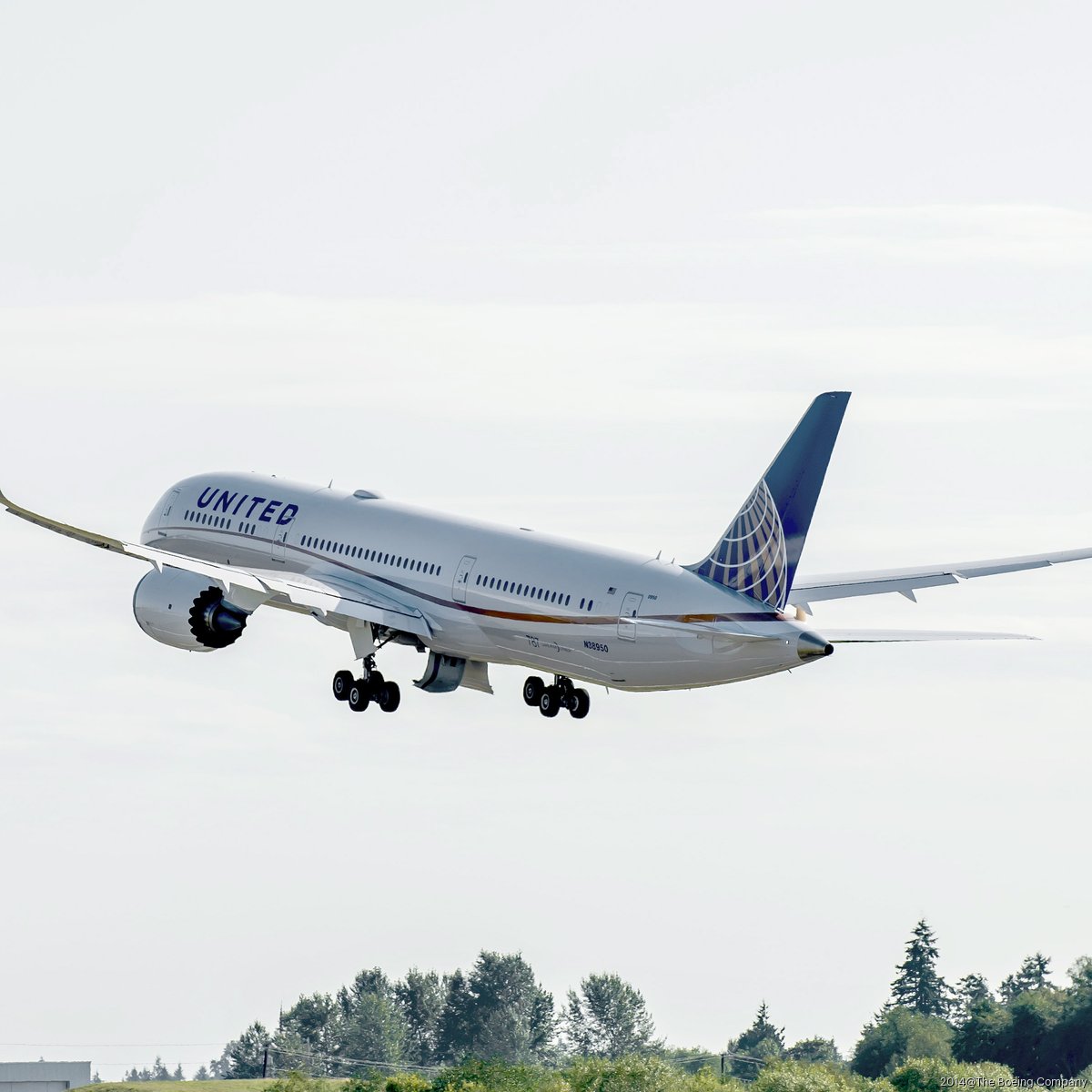 Continental airlines petsafe Clearance