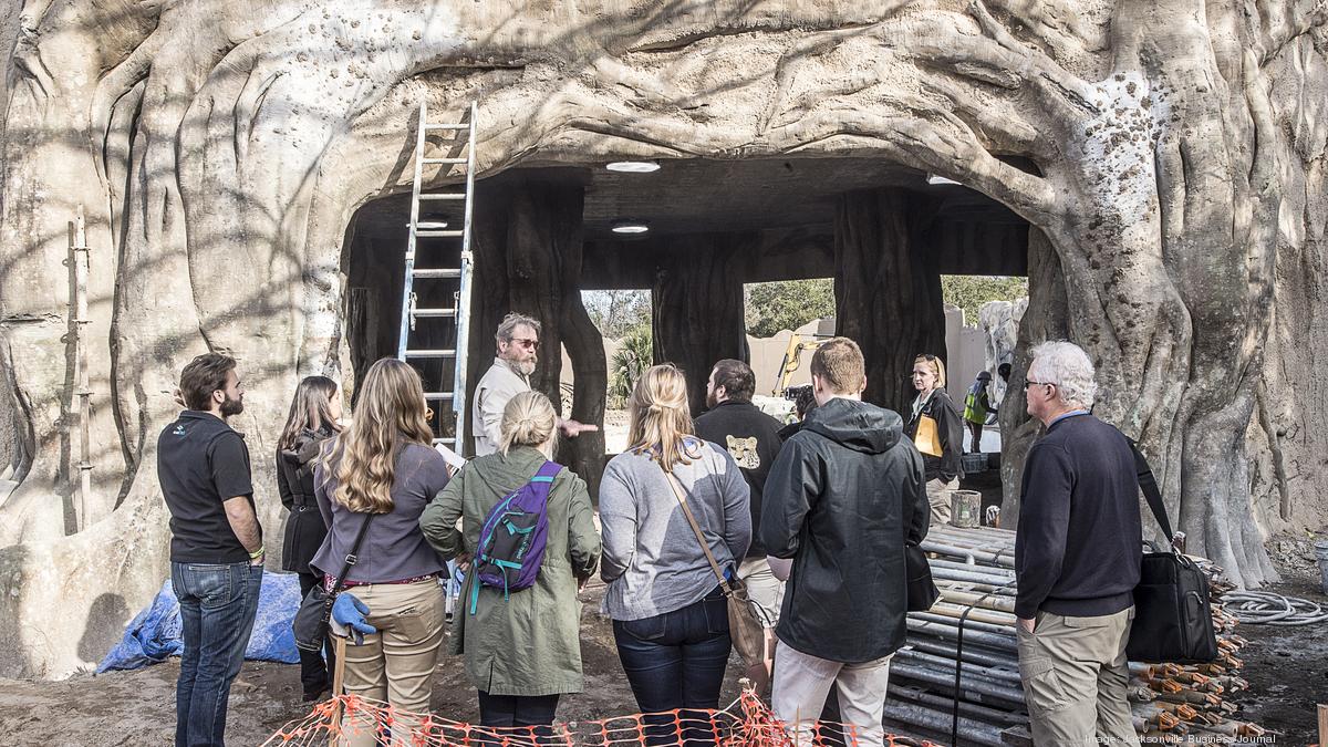 Sneak peak of the Jacksonville Zoo's new 2018 African Forest exhibit