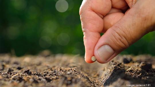 Farmer's hand planting seed in soil