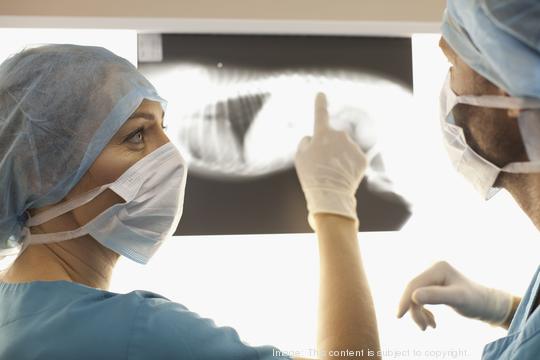 Veterinarians examining x-rays in office