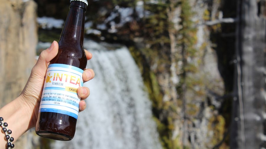 Student kombucha startup wins 35K at Oregon State University pitch