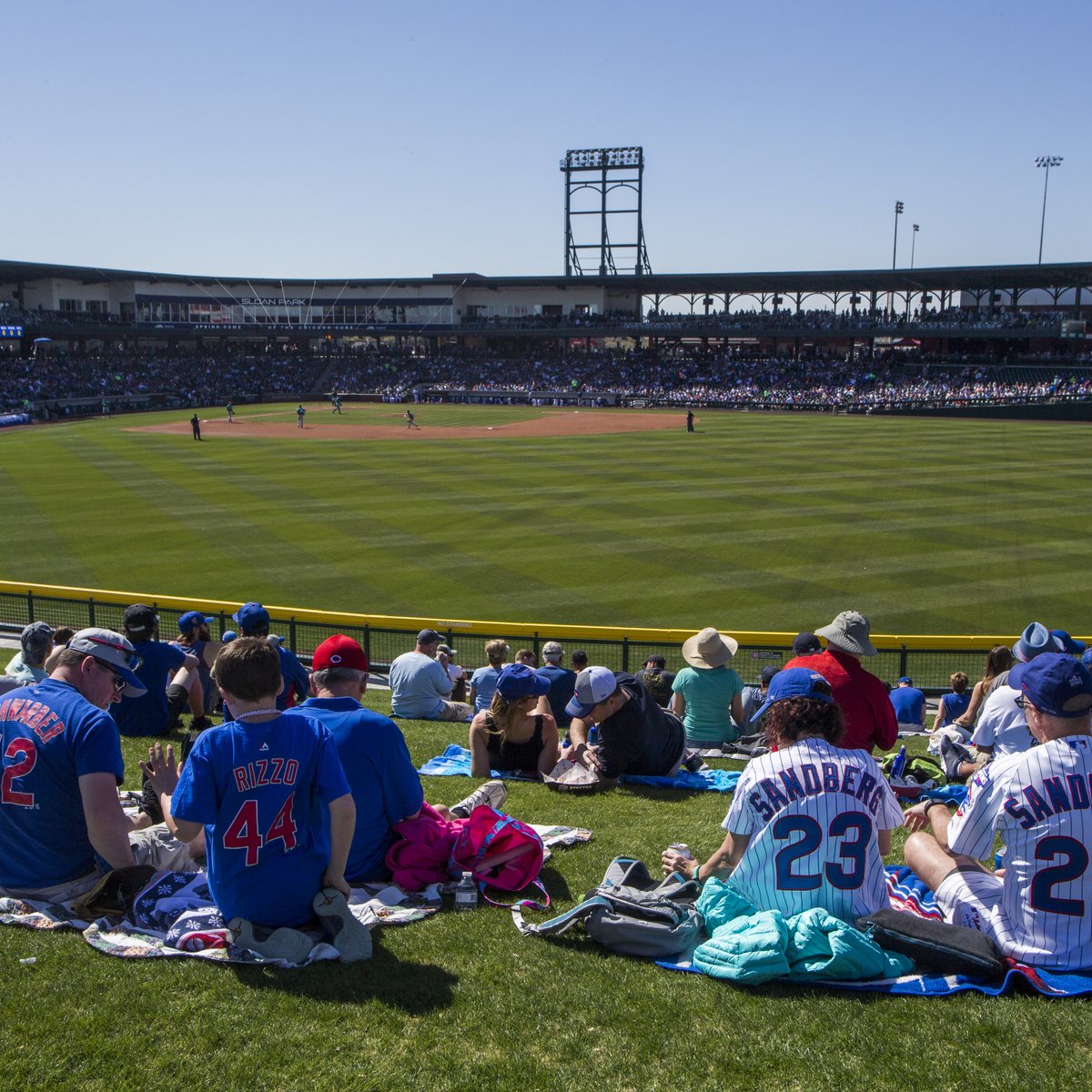 Sloan Park Mesa on X: The Team Store is now open! We are open