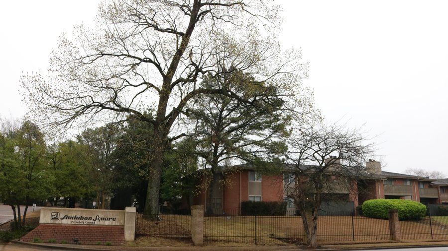 Top of the List Memphis' largest residential condo communities