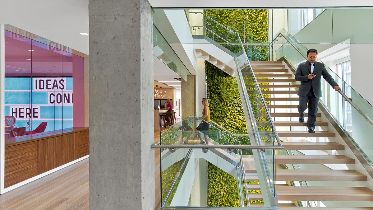 Nixon Peabody LLP, Perkins & Will pursue biophilic design trend in D.C