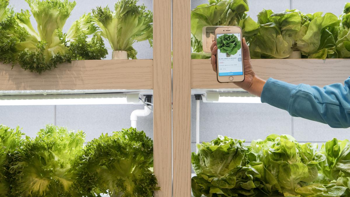 Retailers race against Amazon to automate stores Kansas City Business Journal