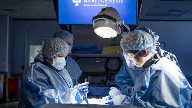 Memphis Based Dca Rebrands The Medical Education And Research