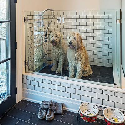 What feature helps a home sell for more money in Denver? A pet shower