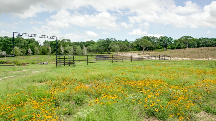 Grandview's 230-acre Oakland Ranch to hit the auction block in May ...