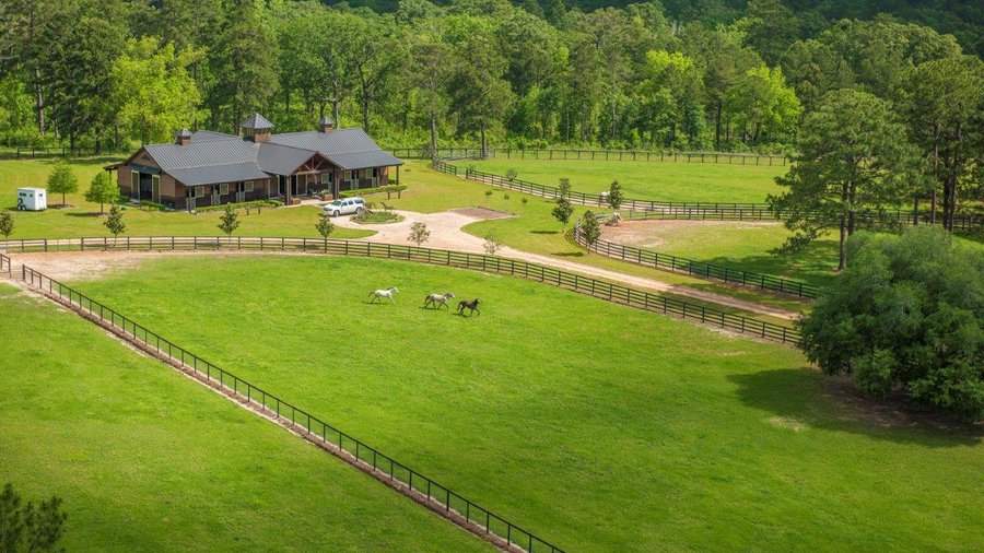 Former Thorntons CEO Matt Thornton buys 2,400acre Florida plantation