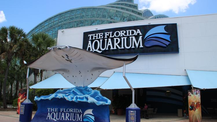 Florida Aquarium partners with Tampa General Hospital on animal health care  center - Tampa Bay Business Journal