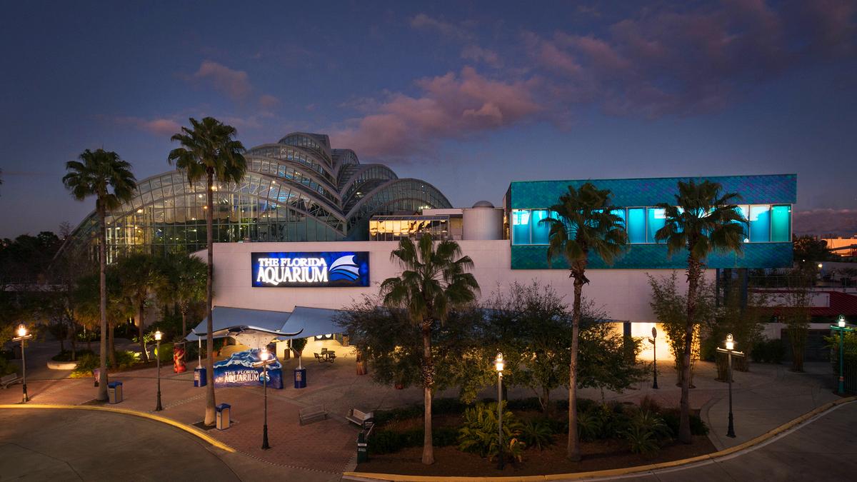Florida Aquarium earns Association of Zoos & Aquariums accreditation