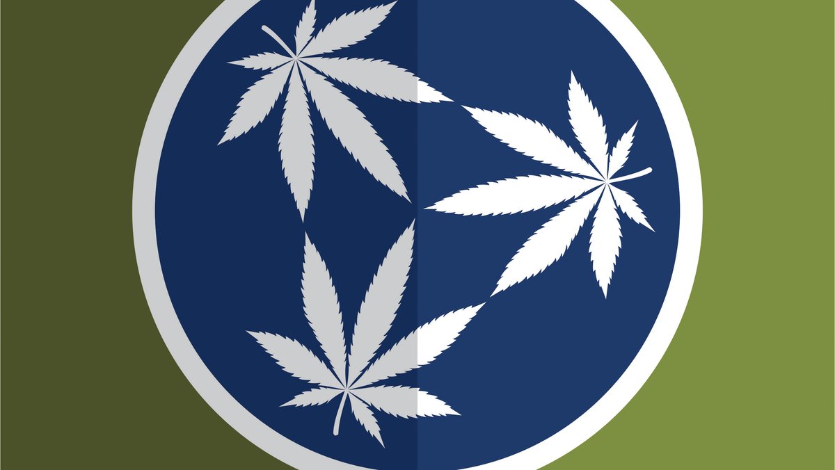 The Green Rush The economics of legalizing marijuana in the MidSouth