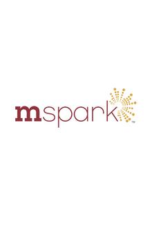 Mspark BizSpotlight - Birmingham Business Journal