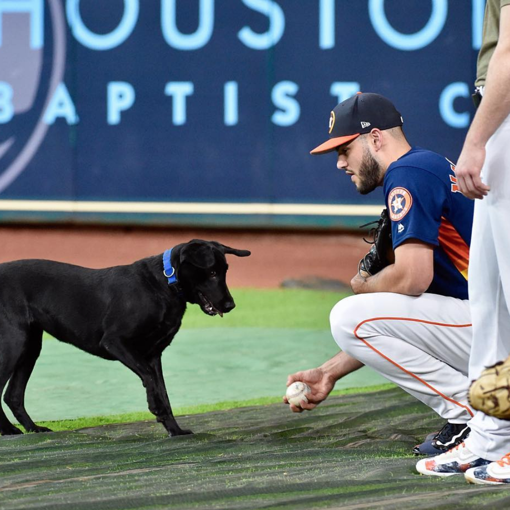 Lance McCullers Jr. and His Wife Fight for Animals, Push to Make Houston a  No-Kill City — A+C Foundation