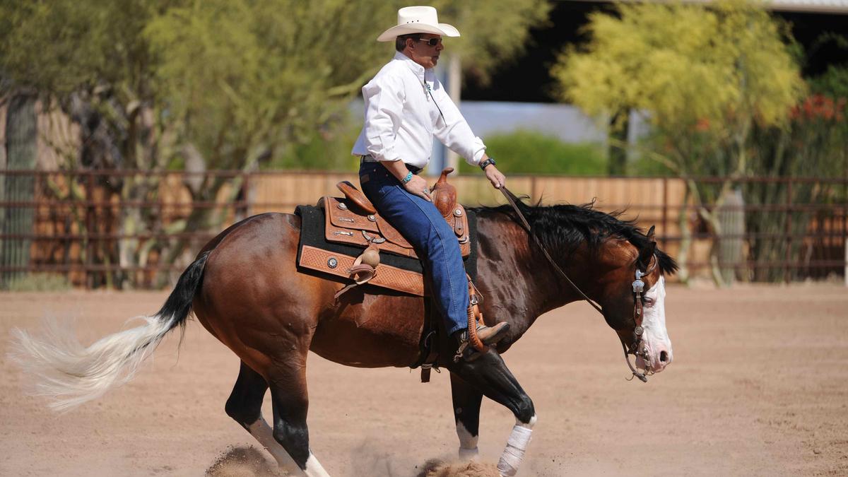 Silver Spurs Equine in Scottsdale always a winner around Kentucky Derby