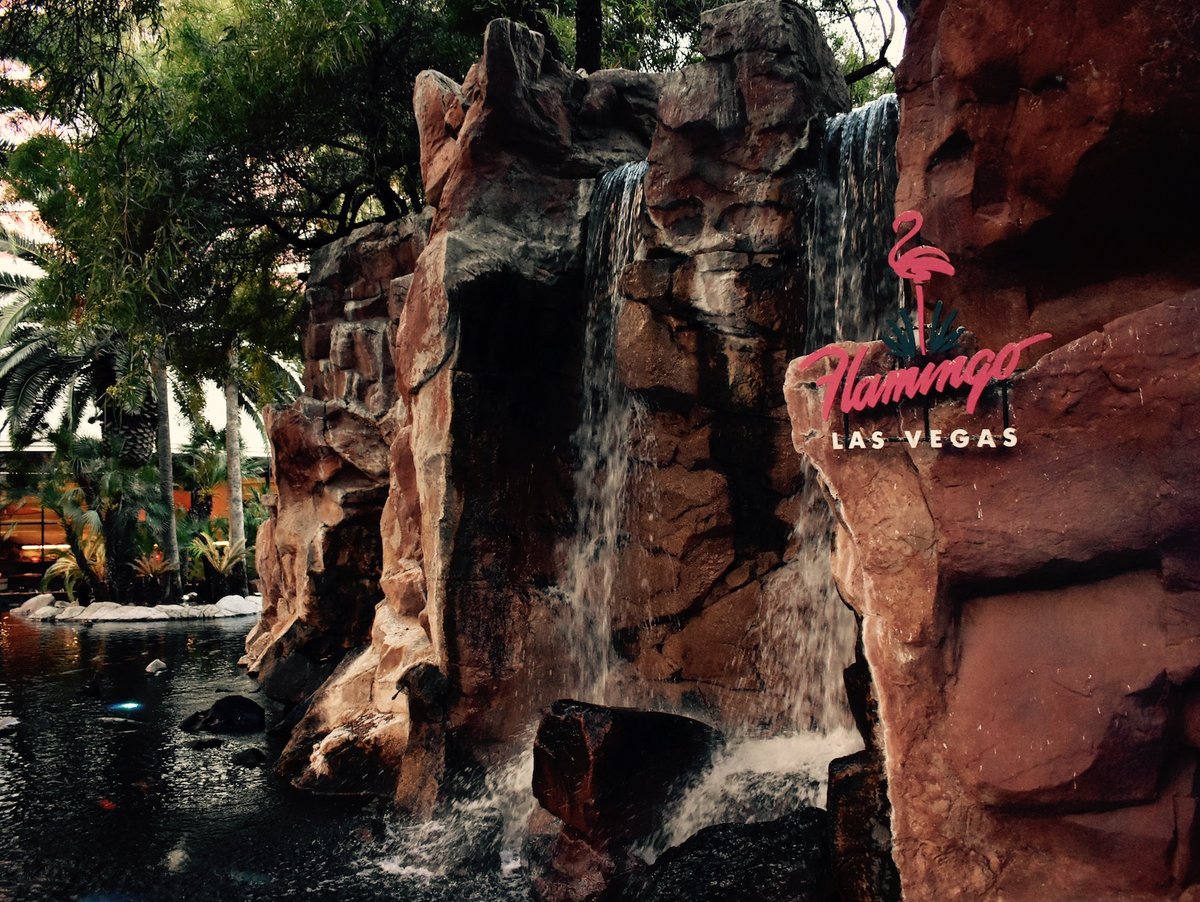 The pool at The Flamingo was featured prominently in Viva Las