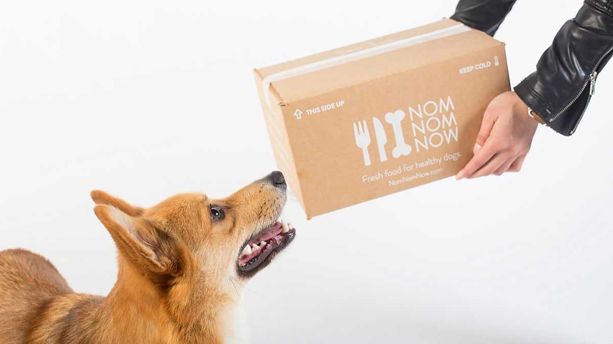 Fresh food for dogs, delivered - Nom Nom