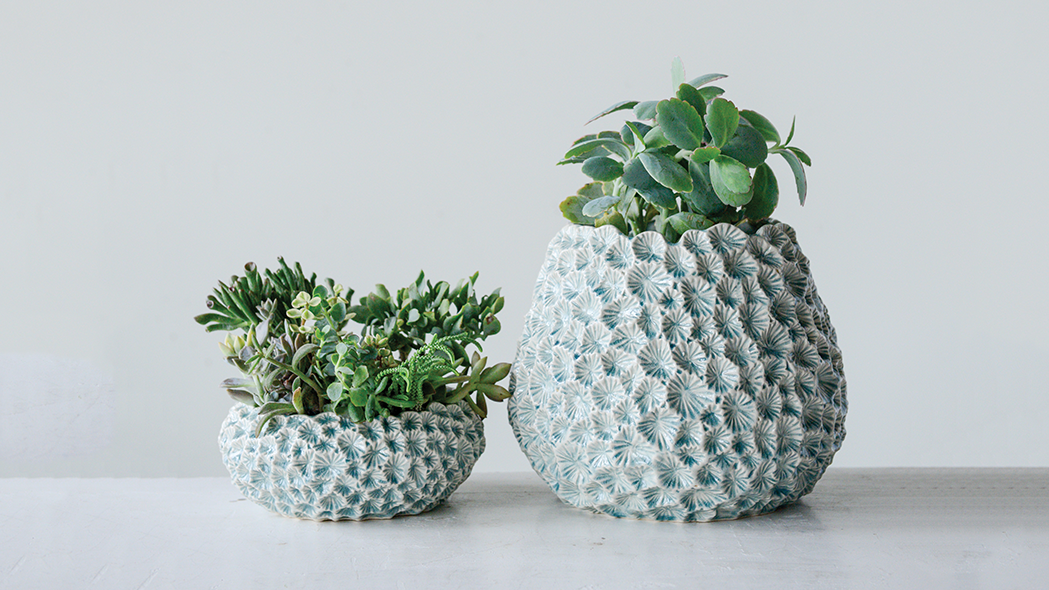 Cover Story Chinese connections abound for Memphisbased Creative Co