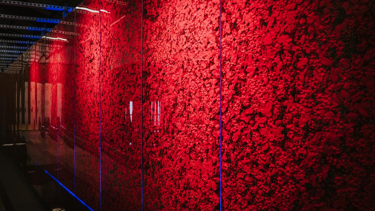 Poppy Wall of Honor returns to National Mall for Memorial Day