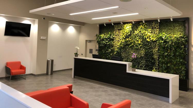 The lobby of the Fishtown dispensary features a green wall.