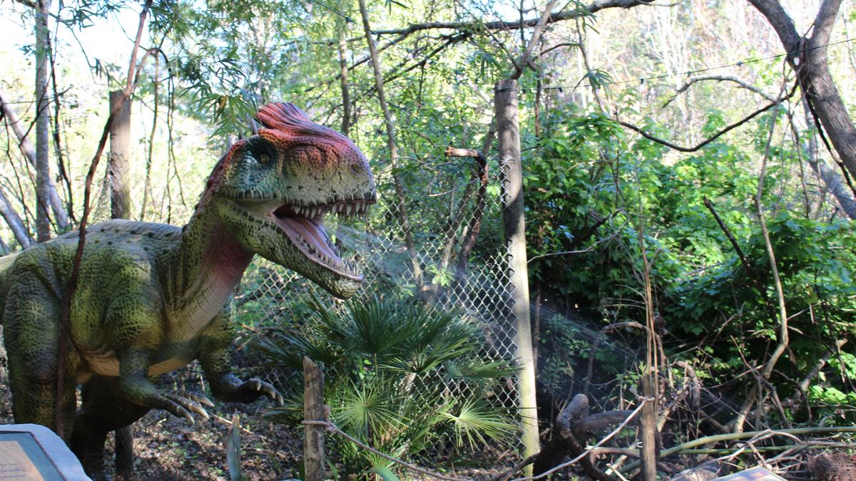 Dinosaur exhibit "Dinosauria" to be extended at Jacksonville Zoo and