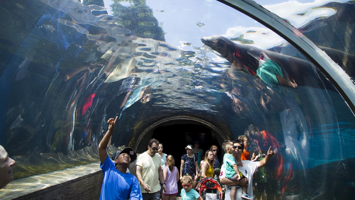 After balking, state gives OK for Saint Louis Zoo tax St. Louis