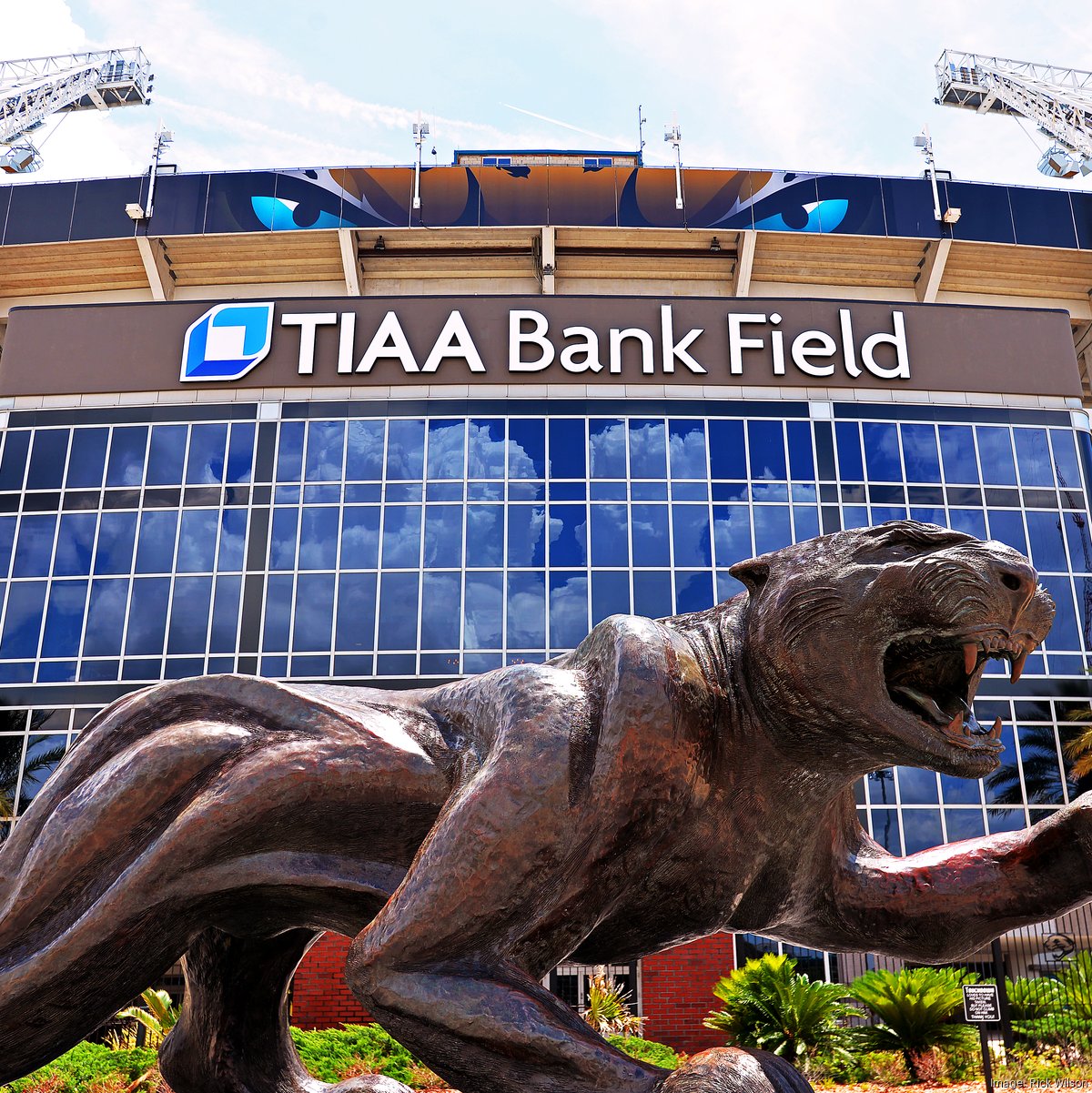 Jaguars home name TIAA Bank Stadium to change - Coliseum