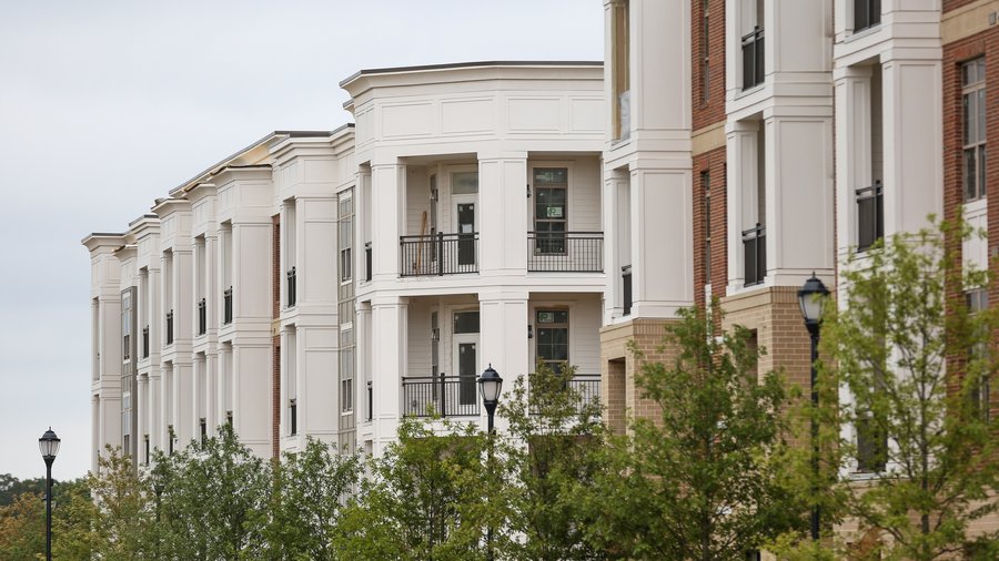 Charlotte tree ordinance update could impact development, canopy