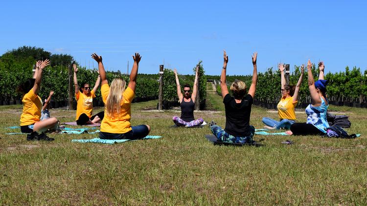 Cherrylake staff members gather for a yoga class at the Groveland-based company's tree farm.