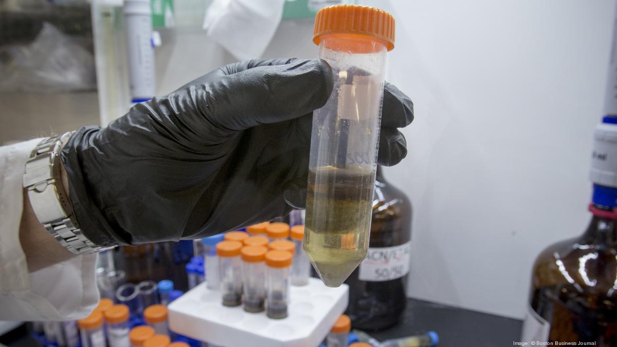 Cannabis test lab could see final inspection next week as Massachusetts