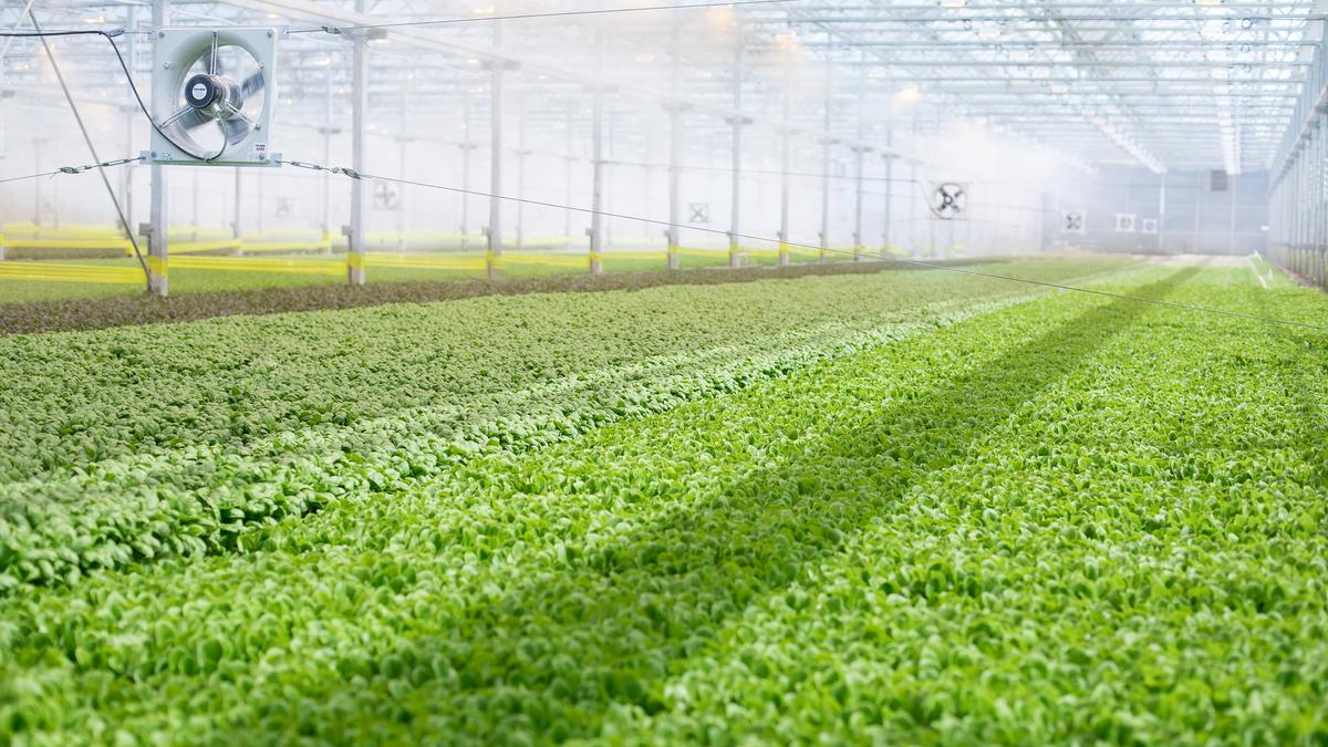 Greenhouse company raises 55M to expand network Dayton Business Journal