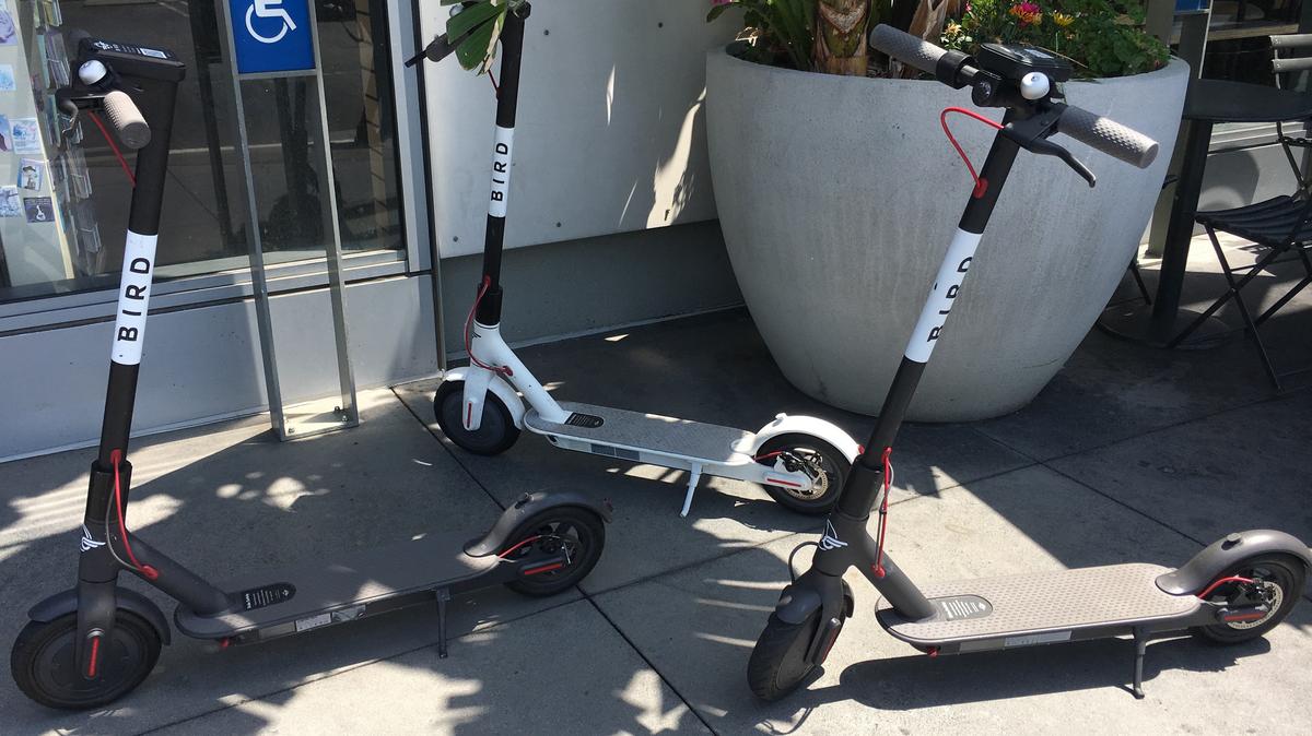 Bird lays off 45 of employees L.A. Business First