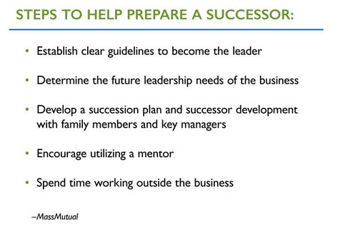 Successor Programme But planning well in advance and carrying through on the strategy is ...