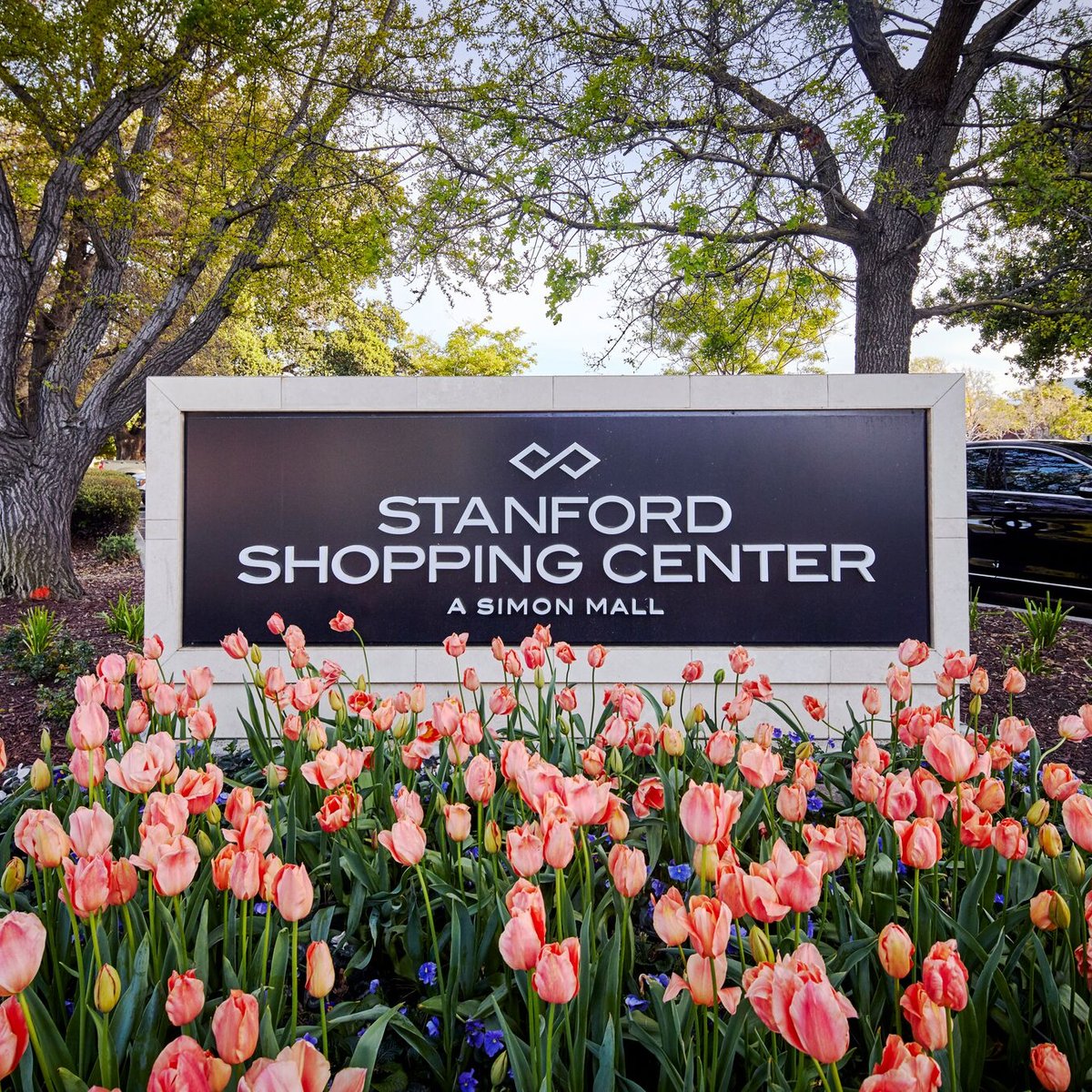 Stanford Shopping Center (Palo Alto) - All You Need to Know BEFORE