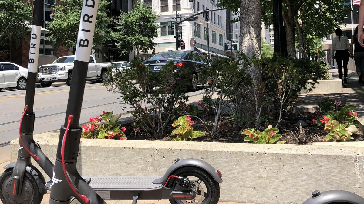 Bird scooters are now available in several KC neighborhoods Kansas