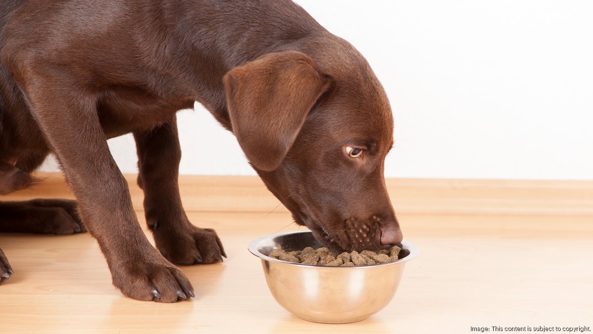 Hill's Pet Nutrition faces lawsuit from KetoNatural Pet Foods Kansas