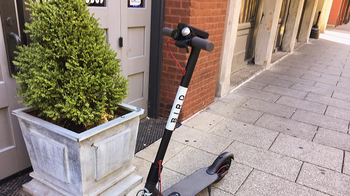 Bird scooter's longest ride Louisville Business First