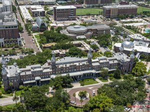 University of Tampa minarets stock