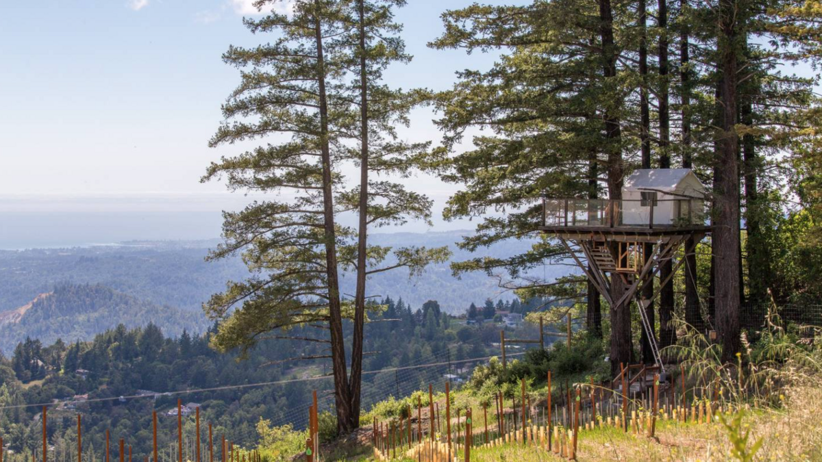 Top 9 Airbnb listings in the Bay Area San Francisco Business Times